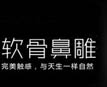 韓國生態軟骨鼻雕